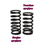 Twardsze sprężyny zaworowe M57 12szt.